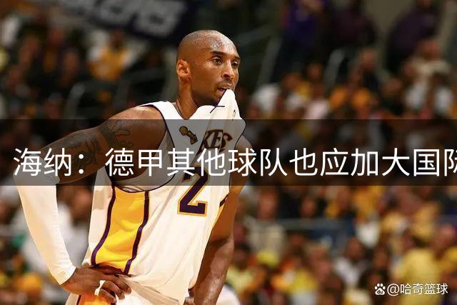 海纳：德甲其他球队也应加大国际化发展，不能只有拜仁走在前列