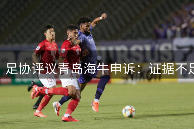 足协评议青岛海牛申诉：证据不足维持原判